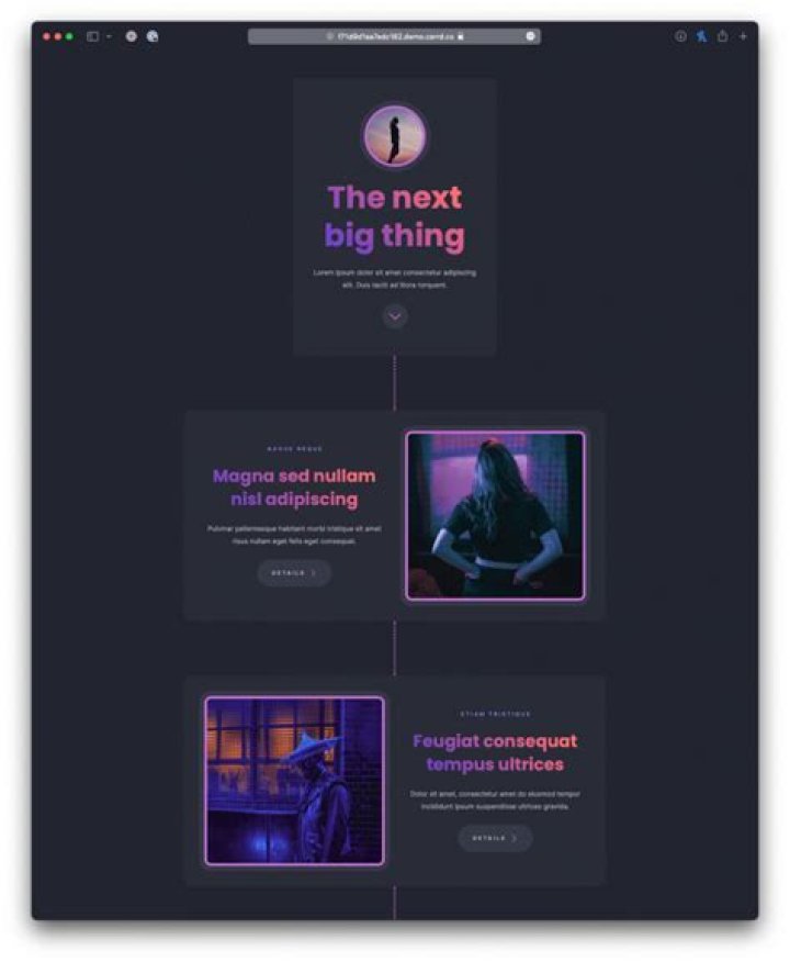 Discovering MyFlicer: The Next Big Thing in Digital Solutions