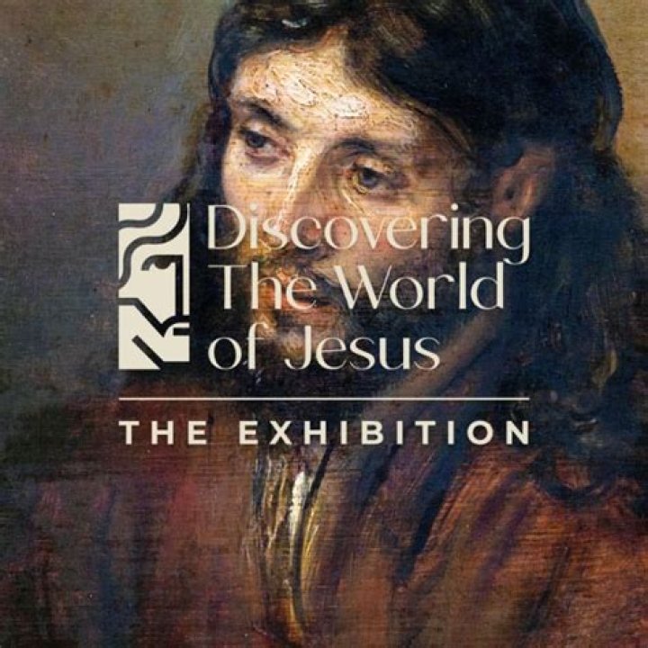 Discovering the World of Vega S.Cim: An Insightful Journey